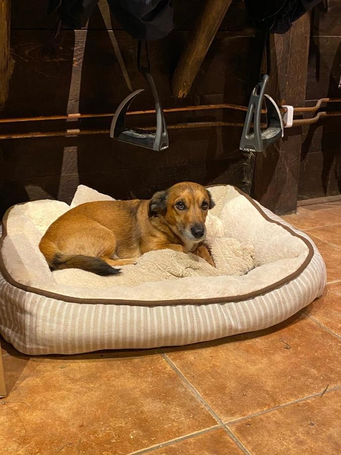 J A Ranch Bed & Breakfast Stromsnasbruk 外观 照片